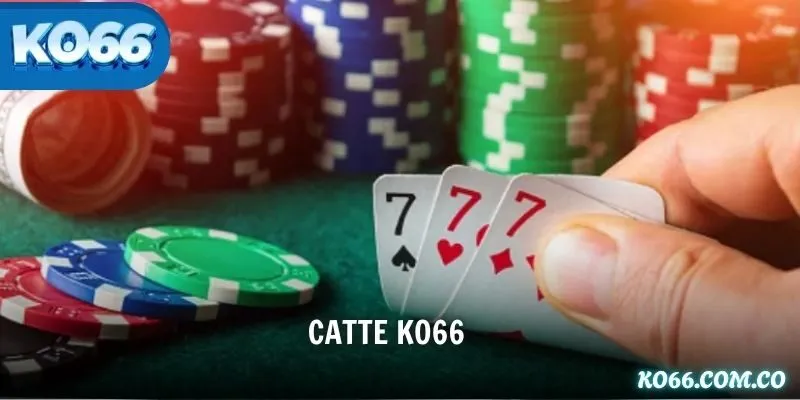 Catte KO66 – Game Hay Thắng Lớn Cùng Kinh Nghiệm Từ Cao Thủ