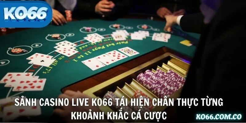 Sảnh Casino Live KO66 tái hiện chân thực từng khoảnh khắc cá cược