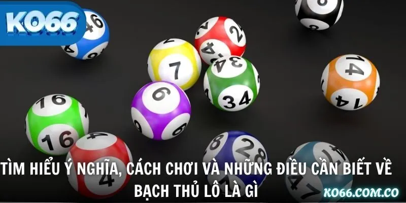 Tìm hiểu ý nghĩa, cách chơi và những điều cần biết về bạch thủ lô là gì